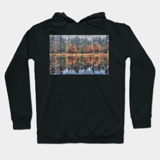 Autumn Pond Hoodie